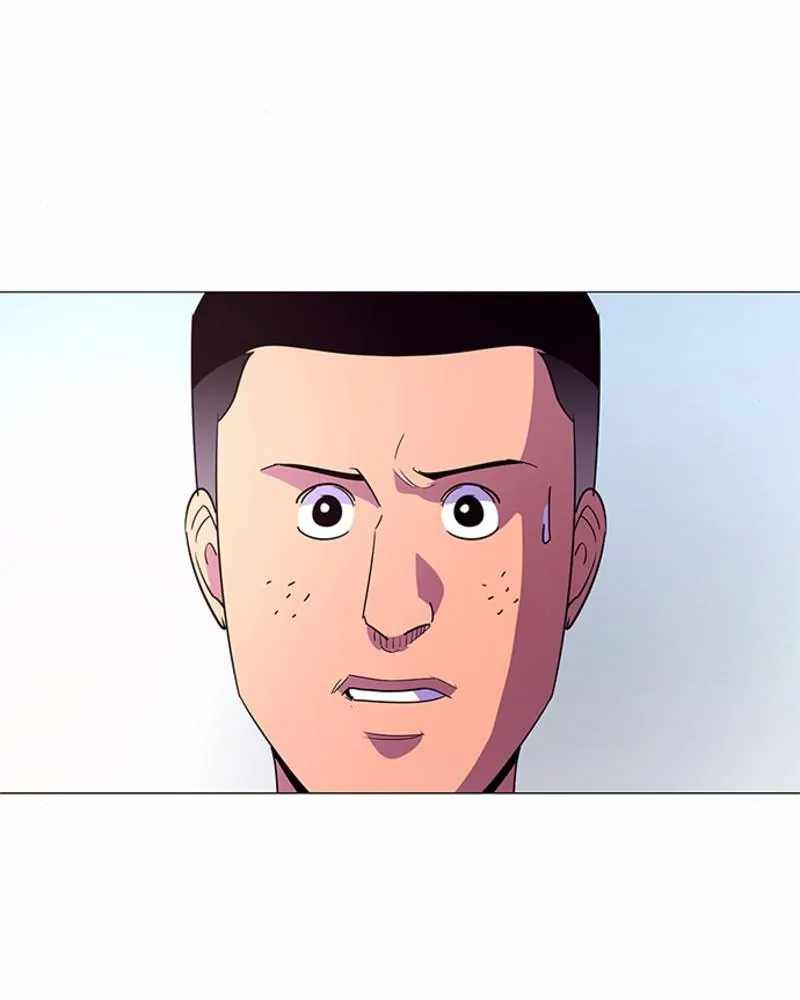 81