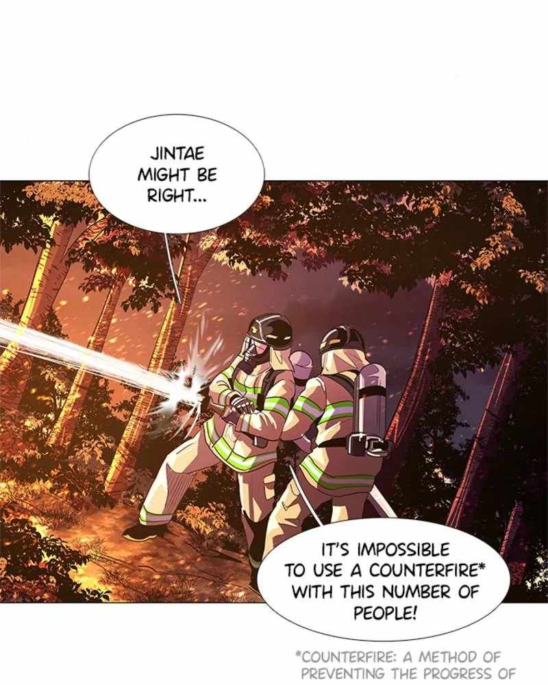 43