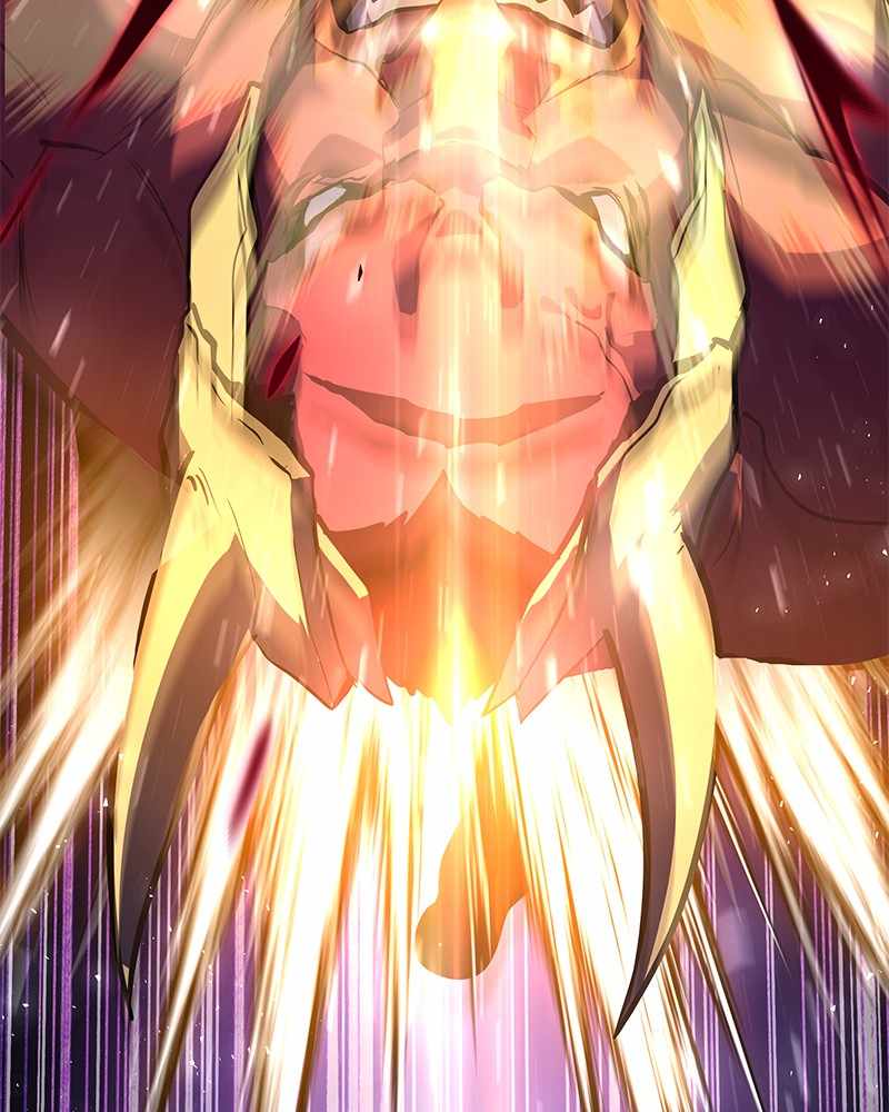66