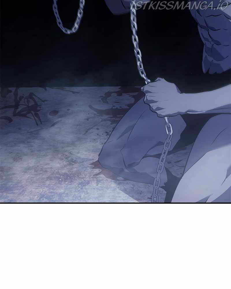 81