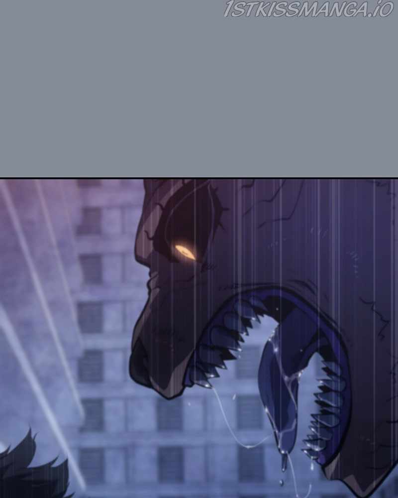 81
