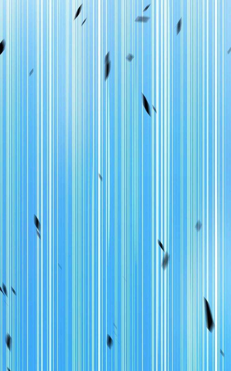 323