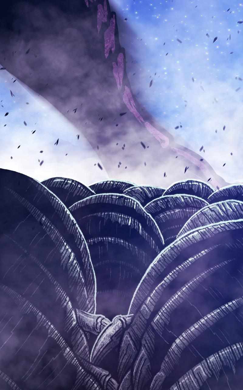 243