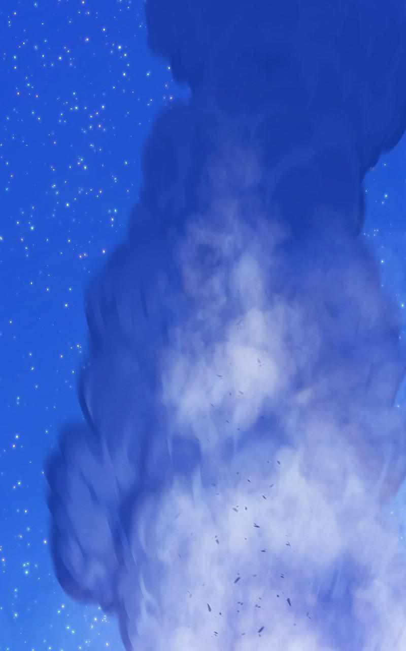 295