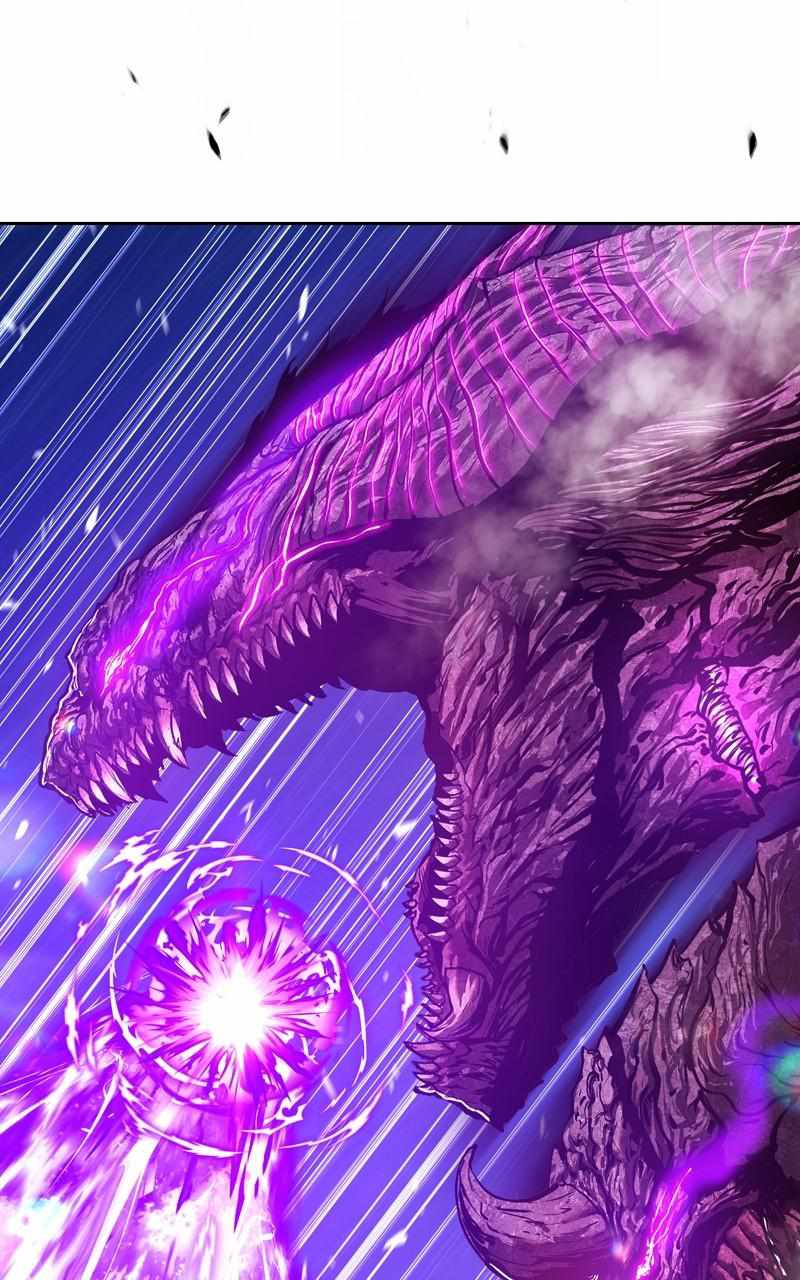 333