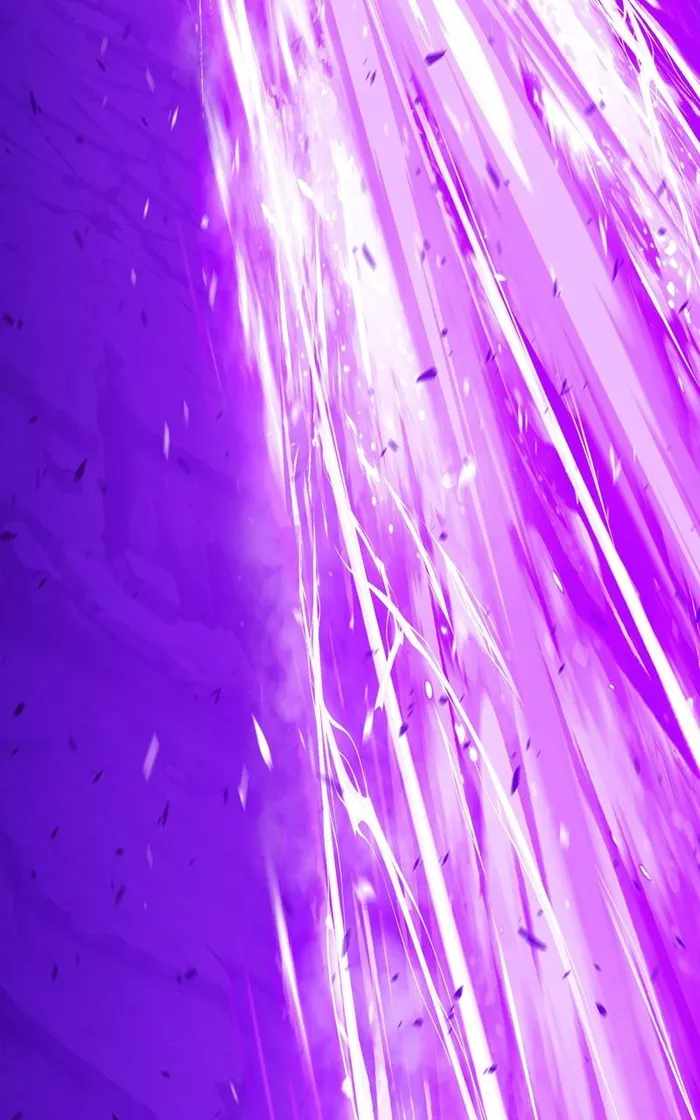 256