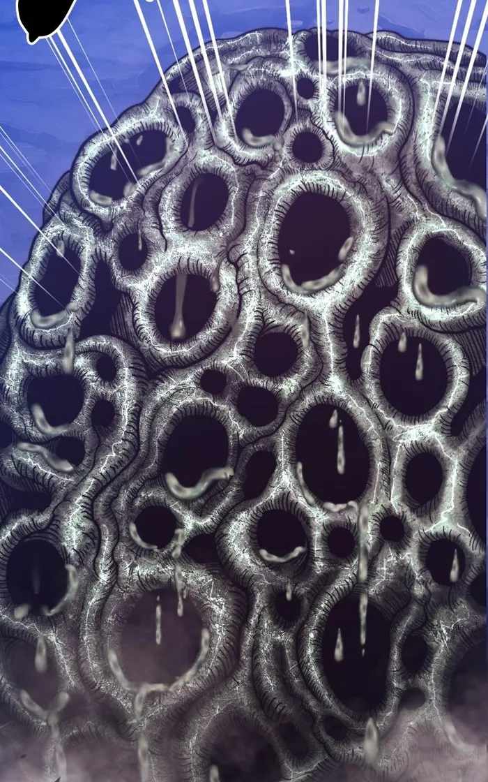 44