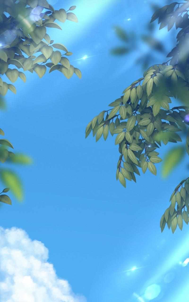 405