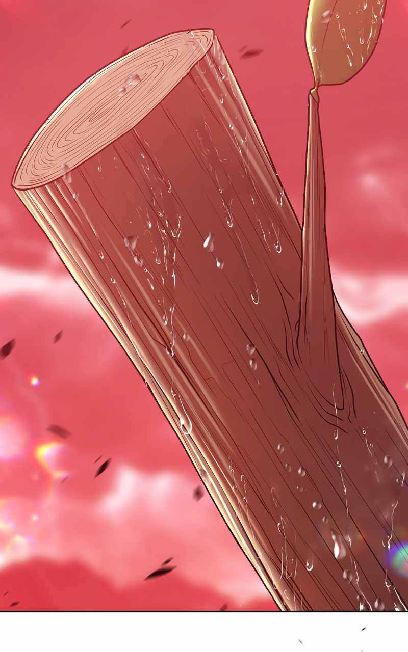 243