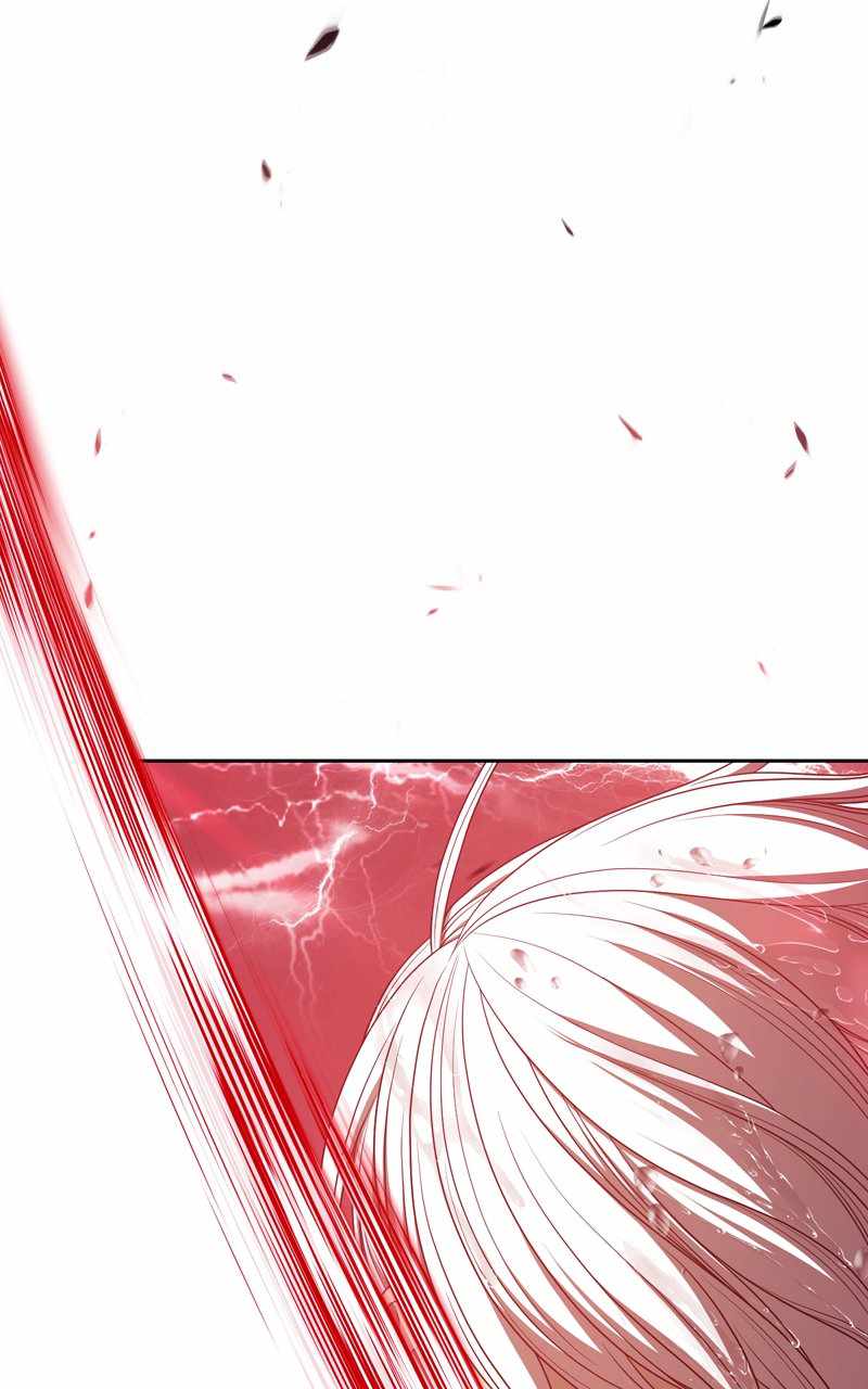 244
