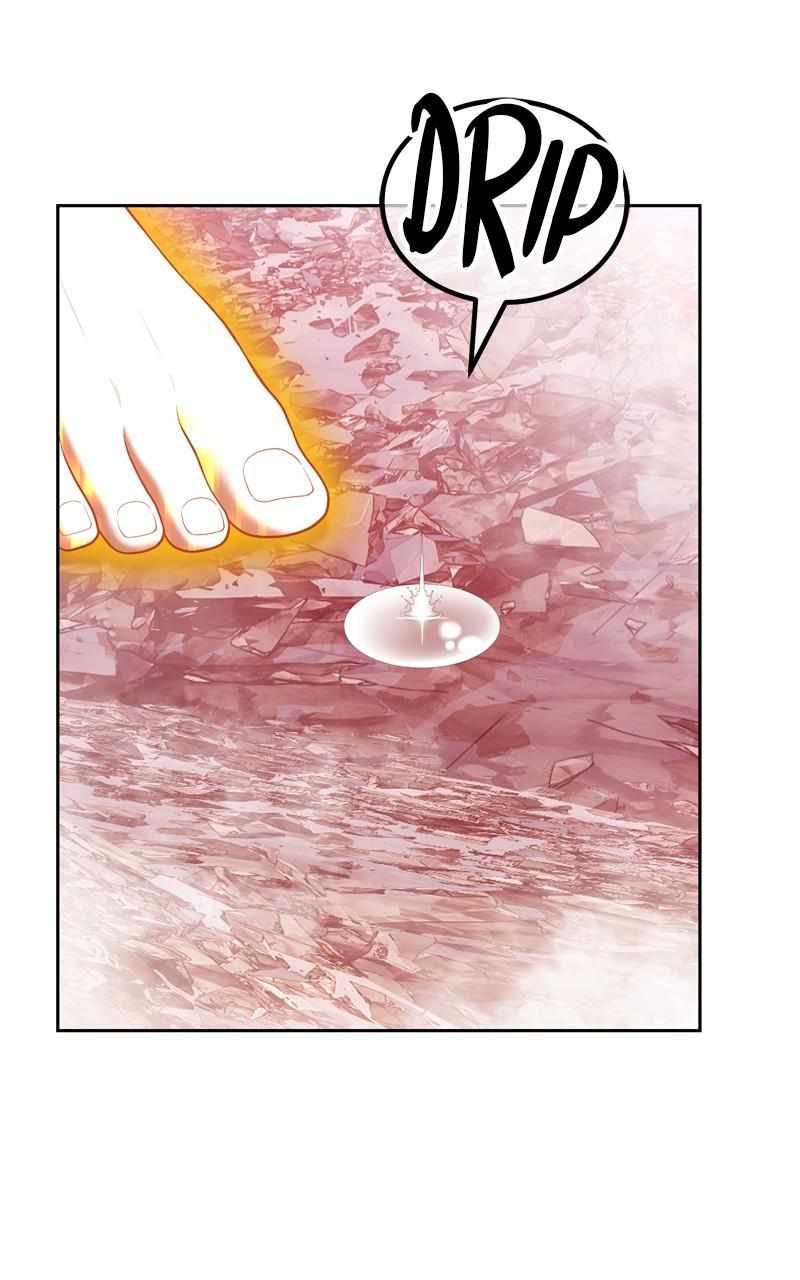 204