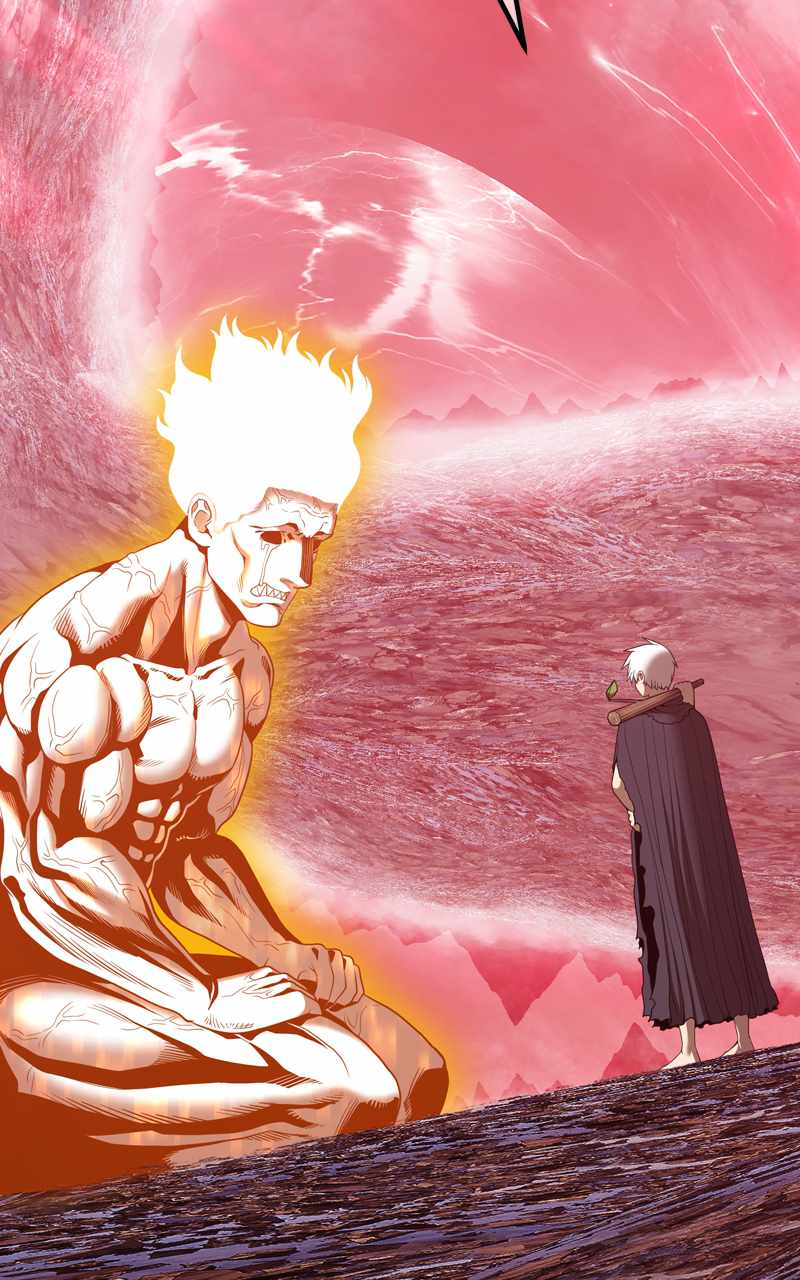244