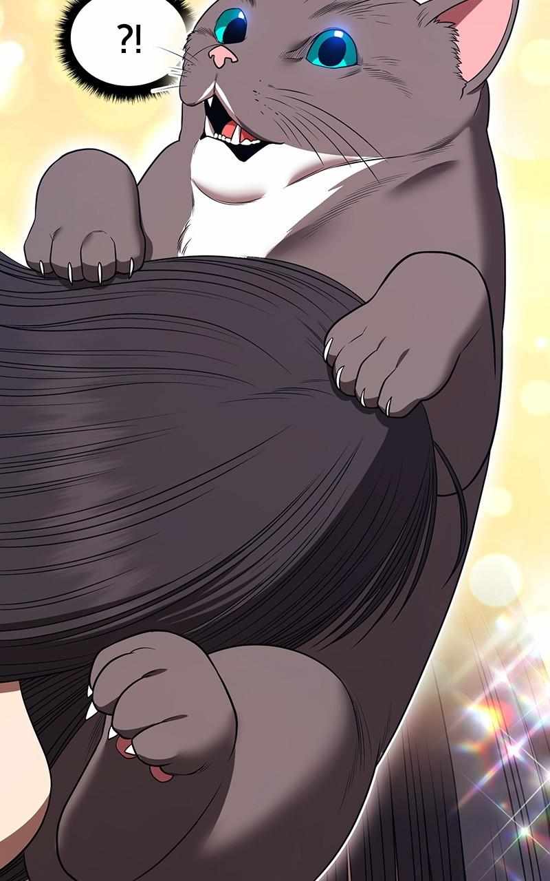 151