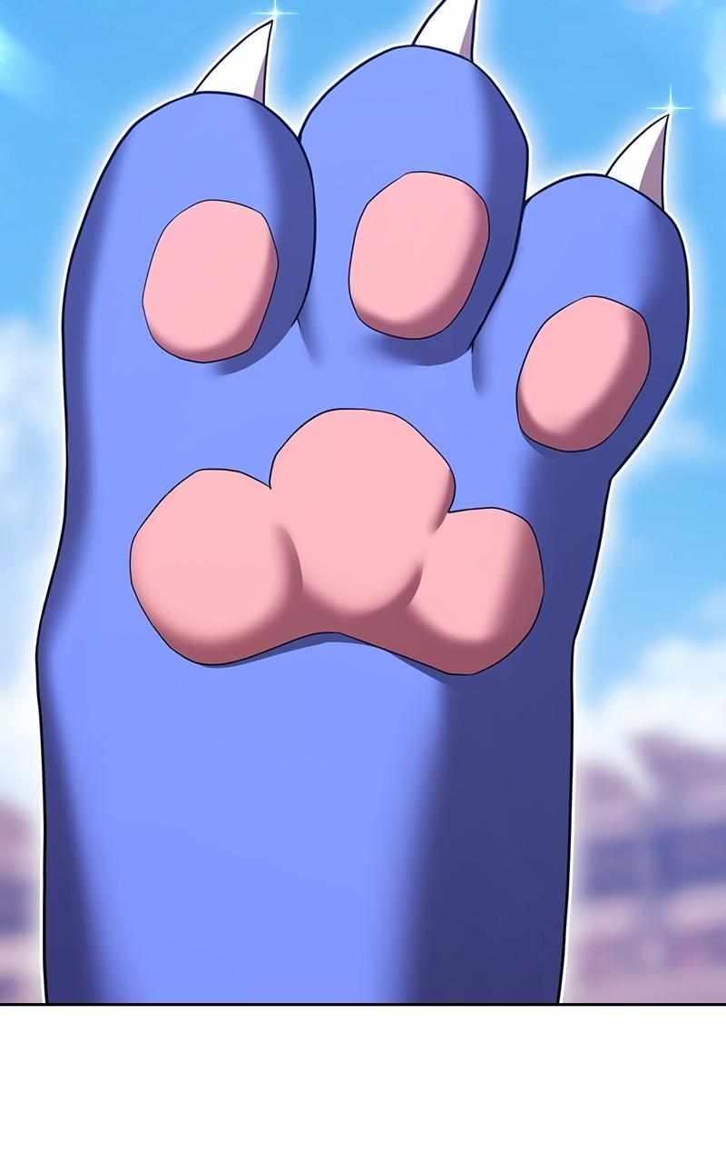 68