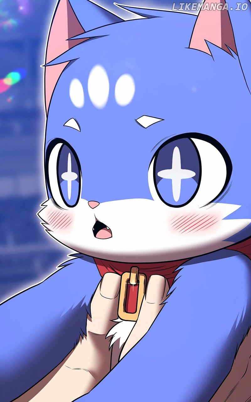 244