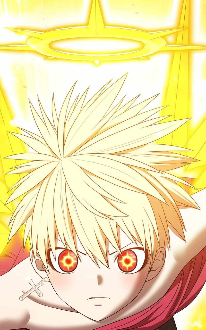 231