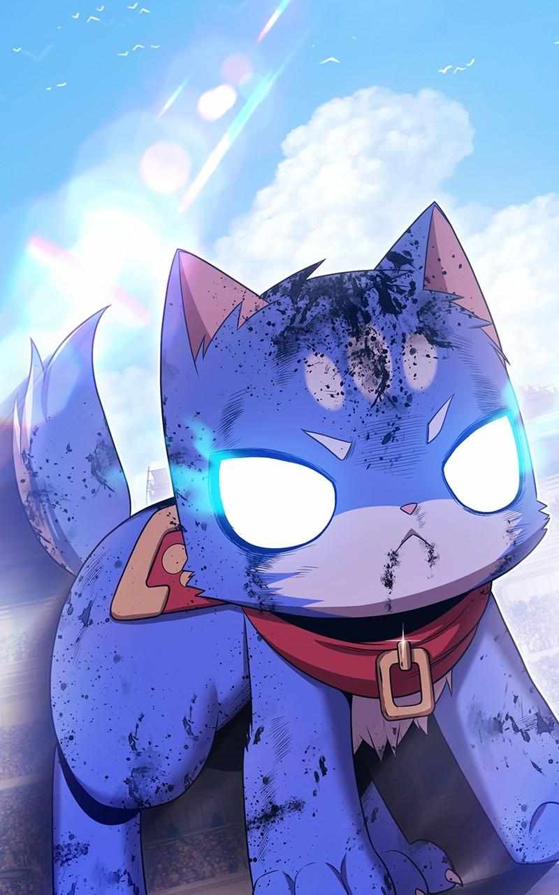 338