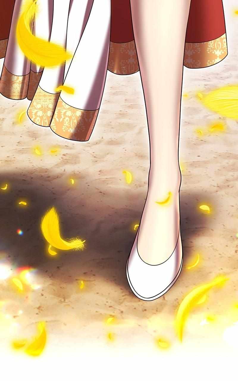 255