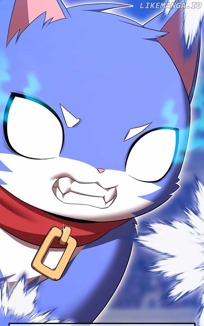 255