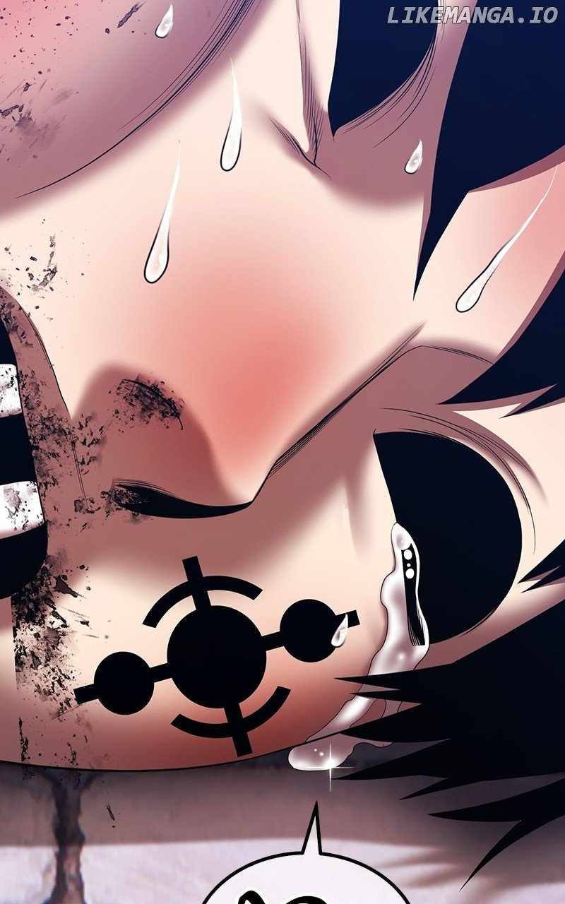 244