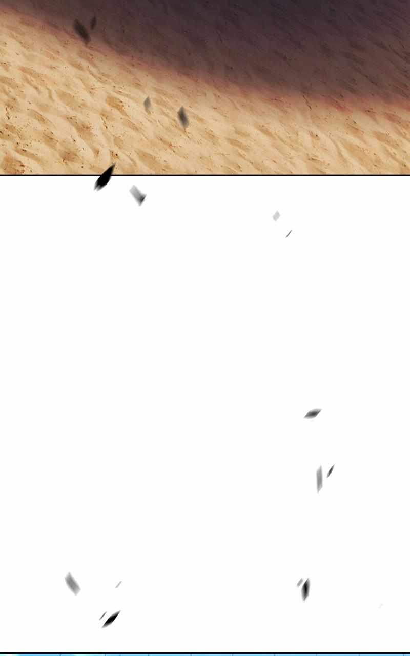 338