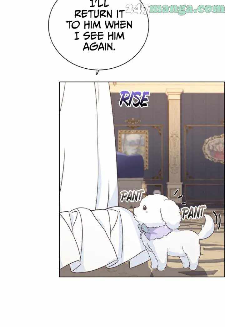 81