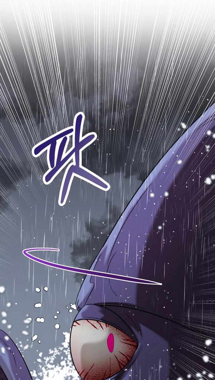 81