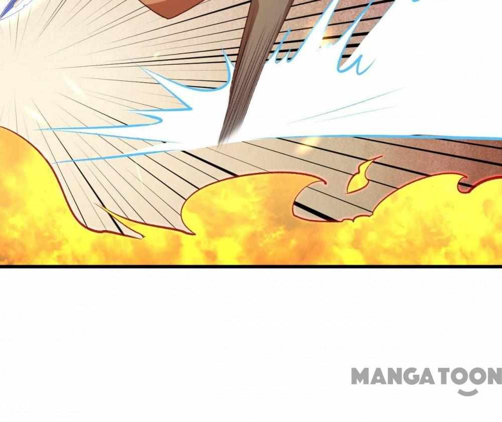 81