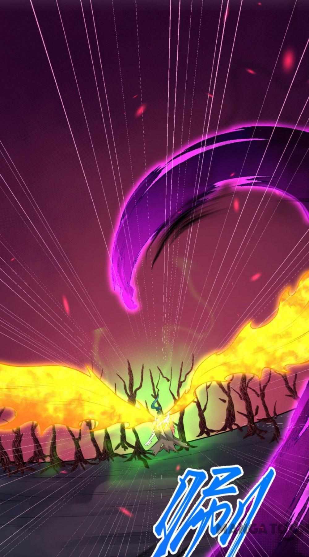 81