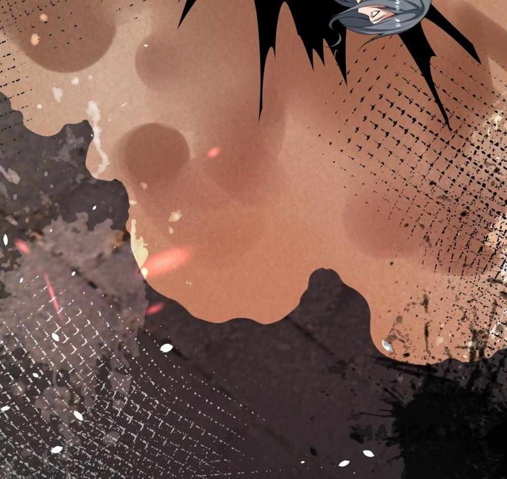 66