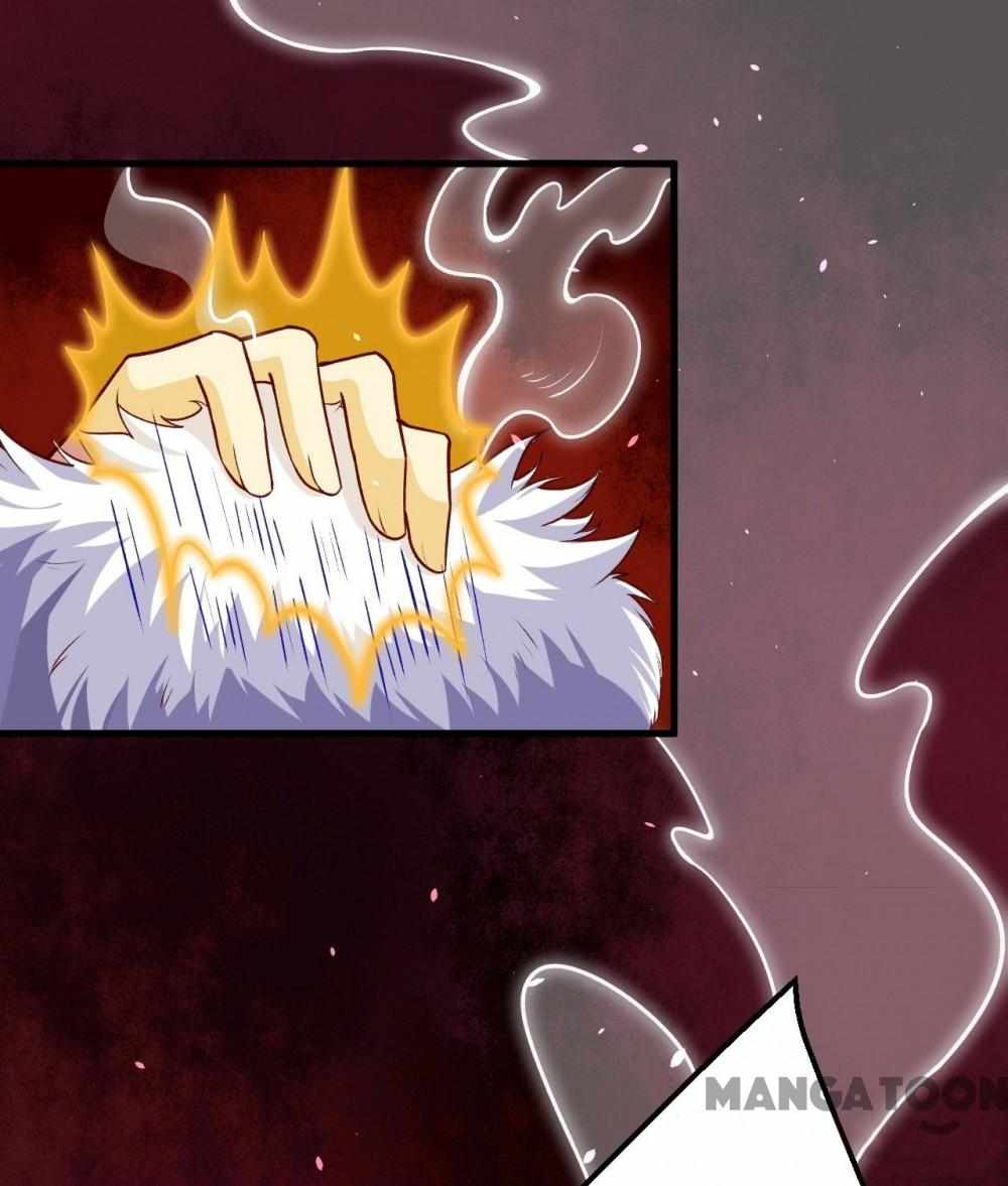 81