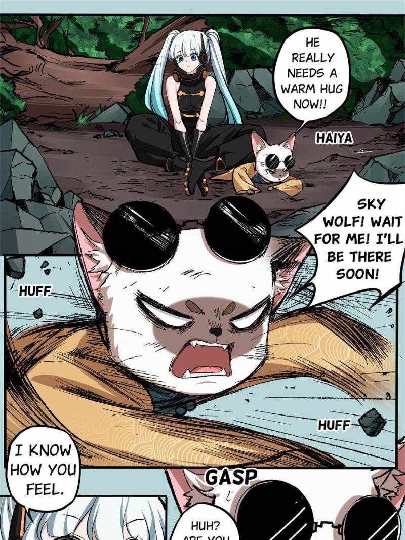 43