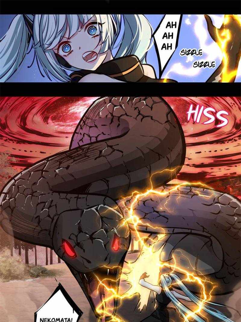 43