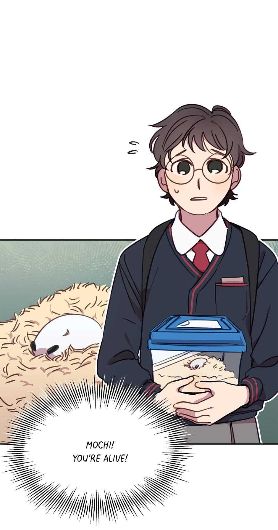 32