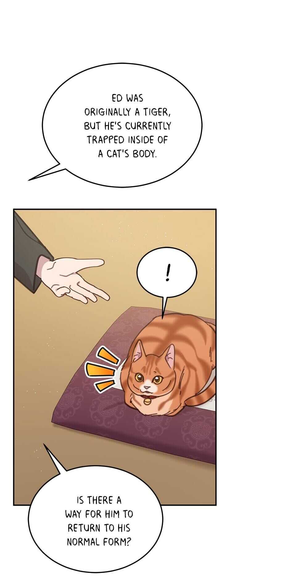 52