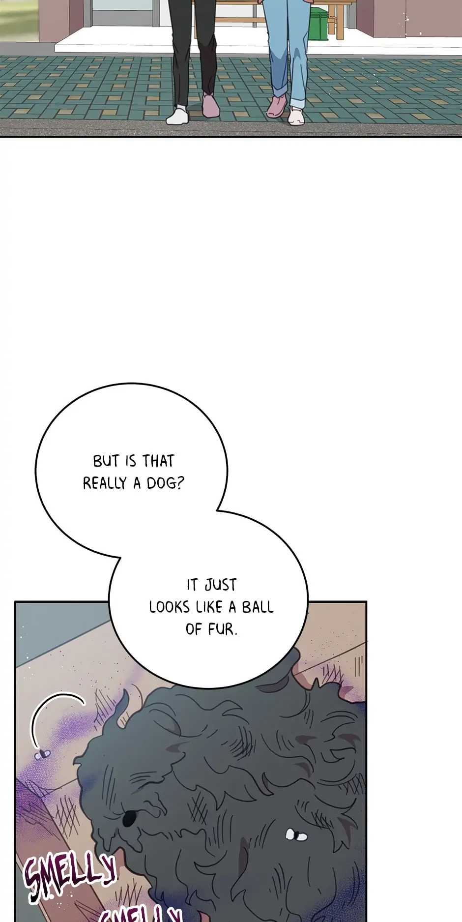 41