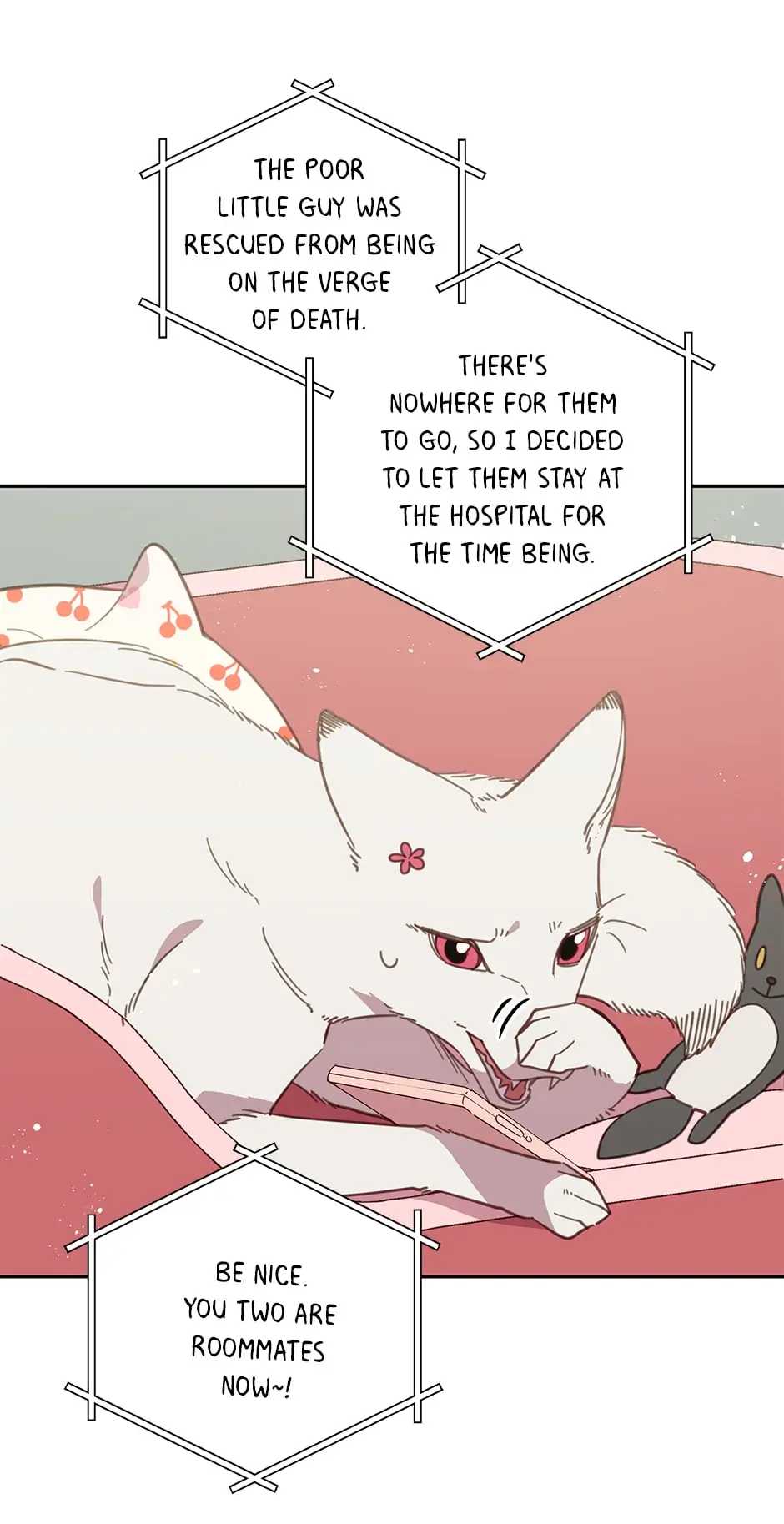 23