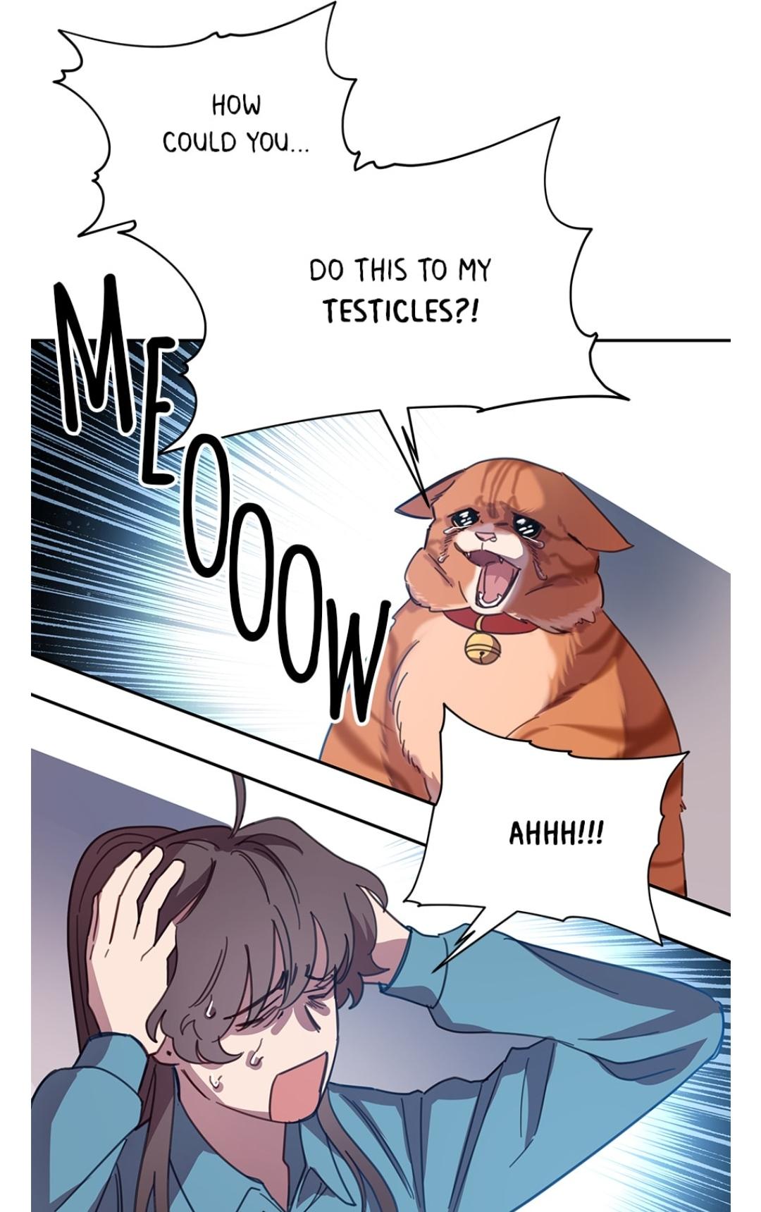 54