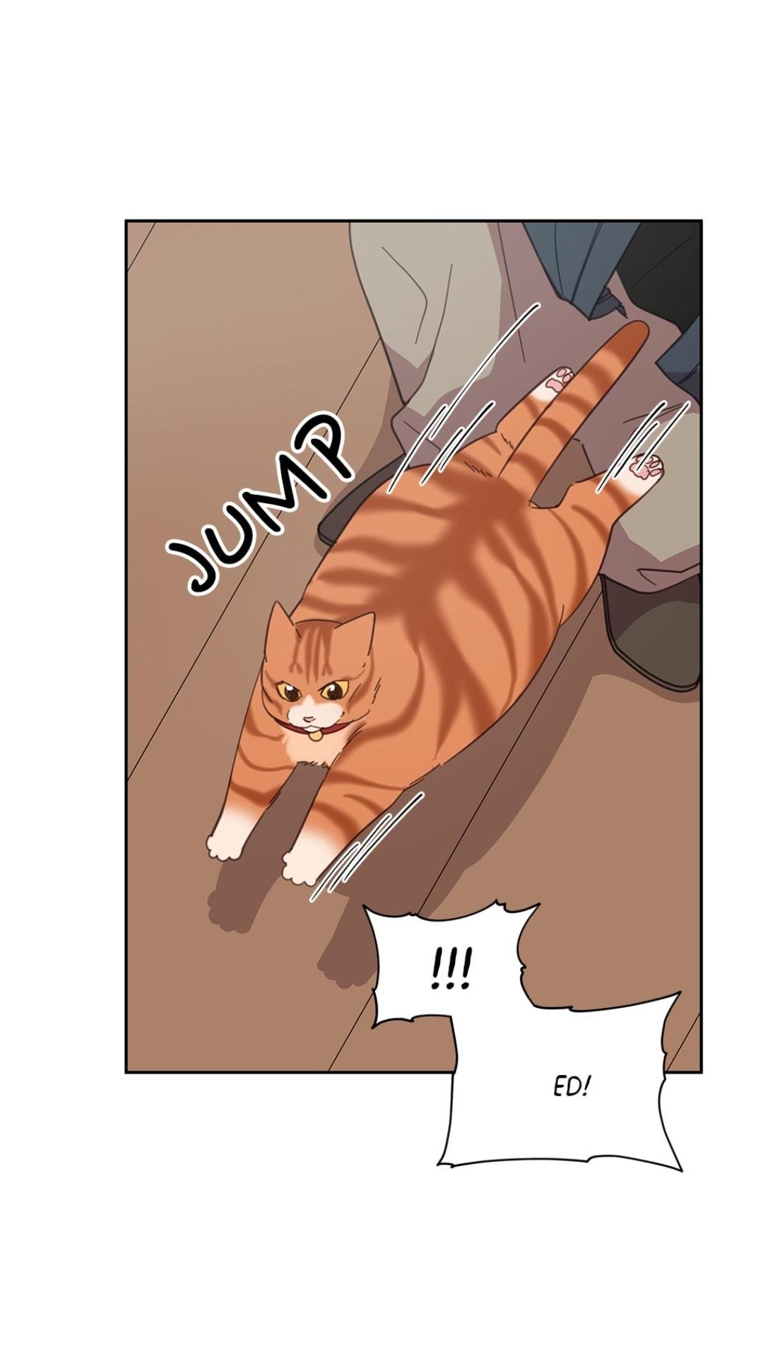 54
