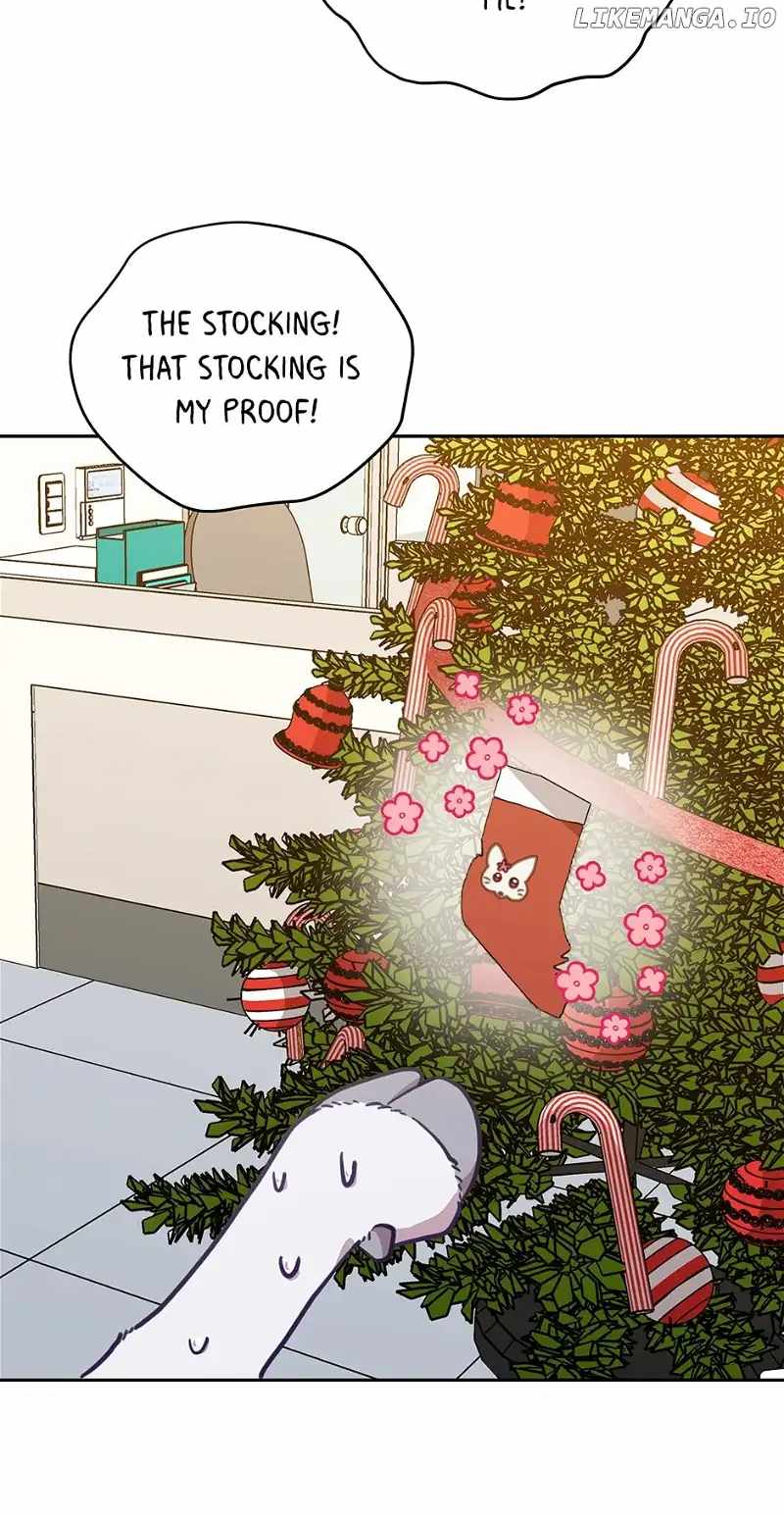 43