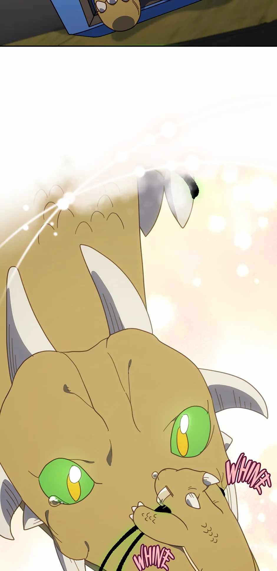 41
