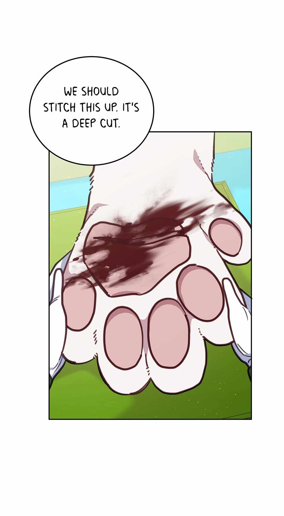 43