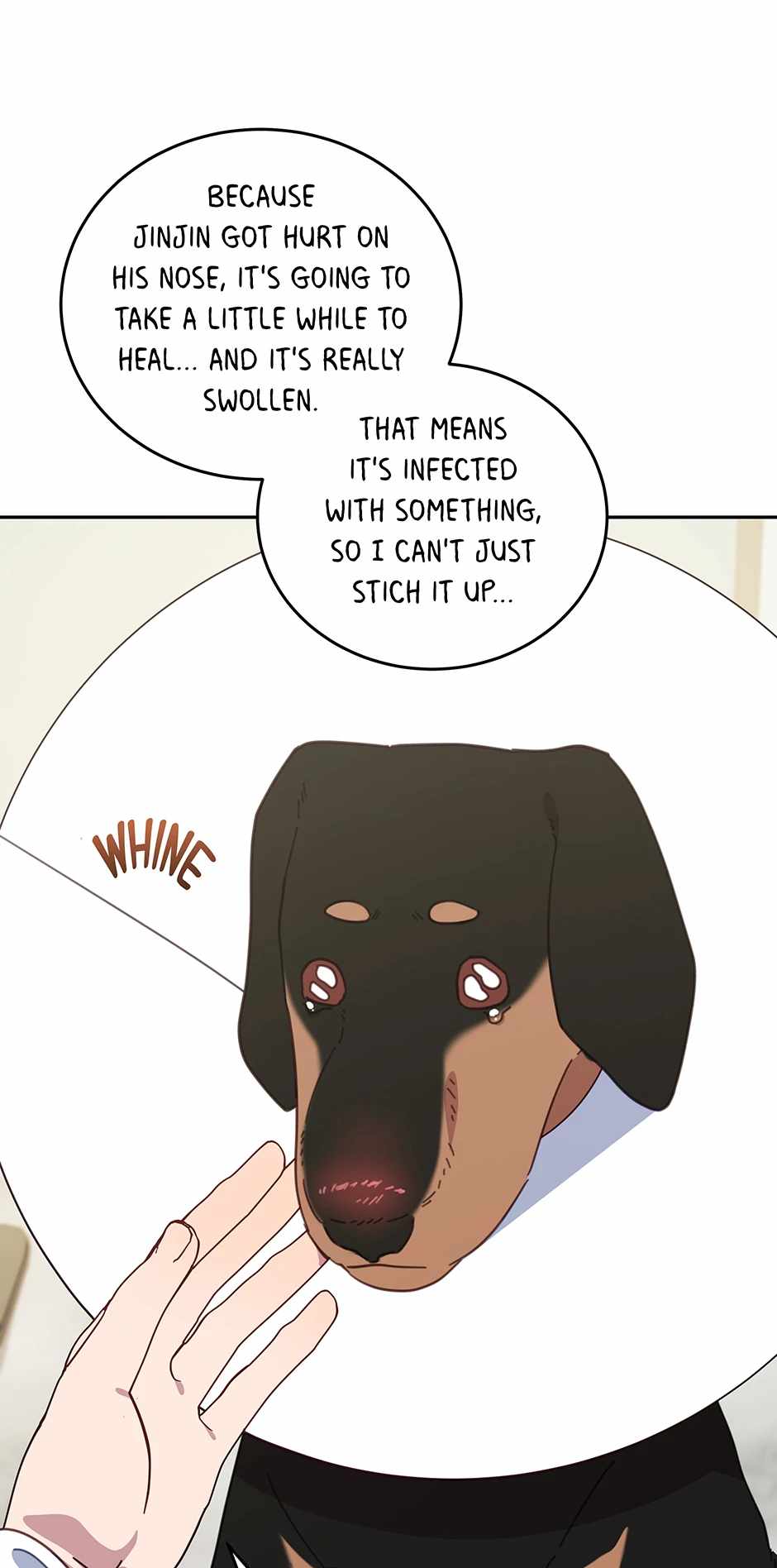 31