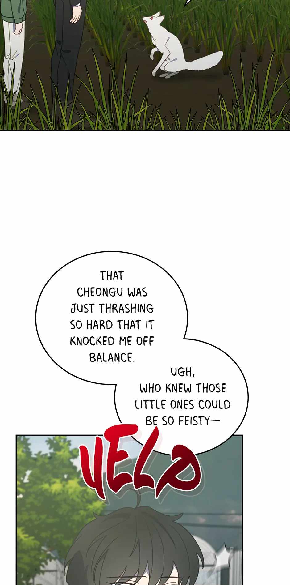 53