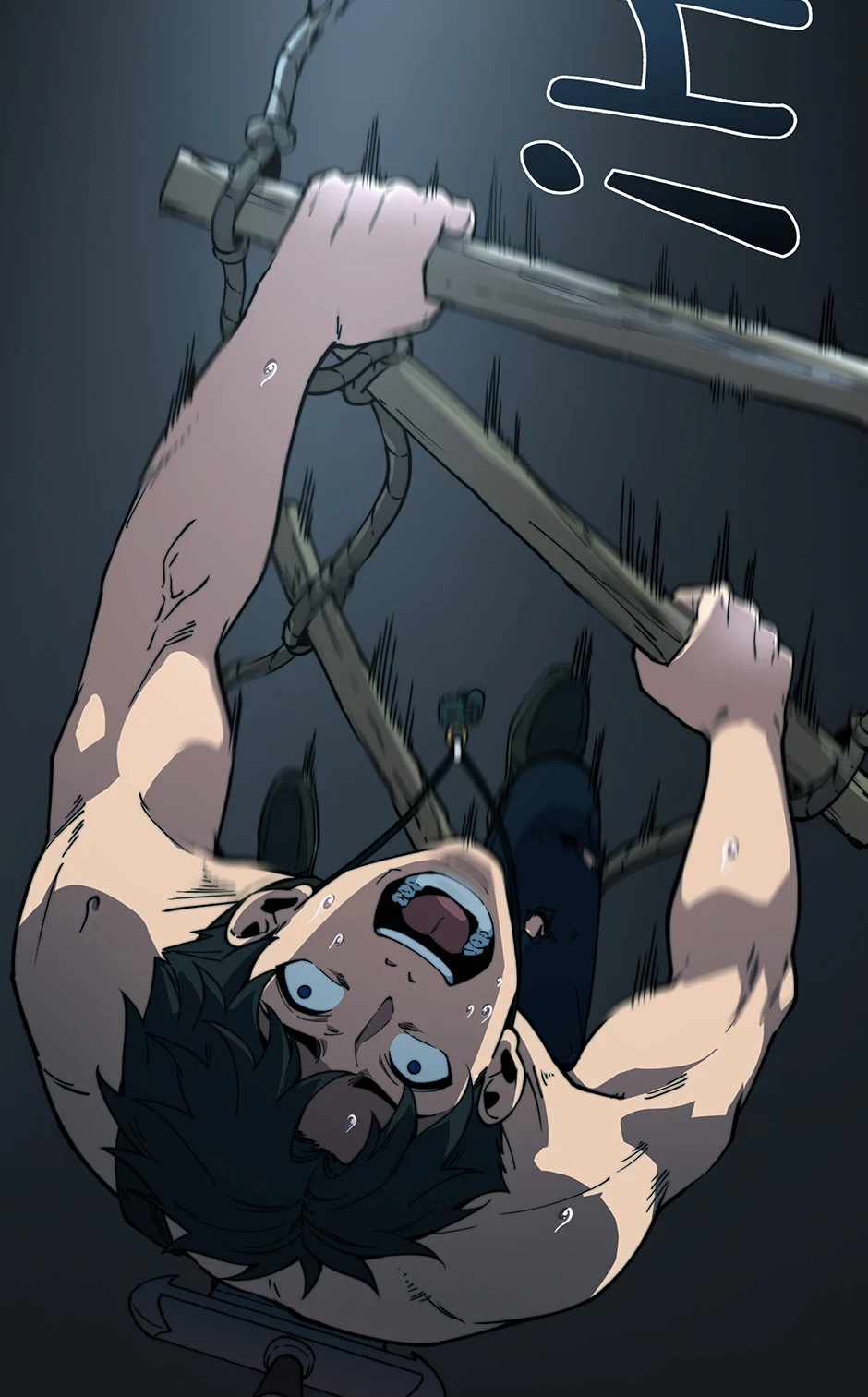 23
