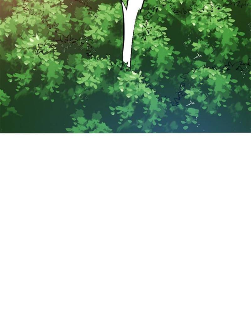 81