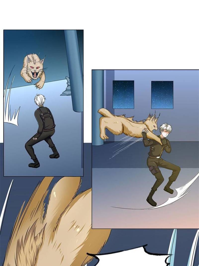 53