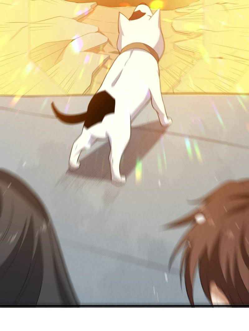 65
