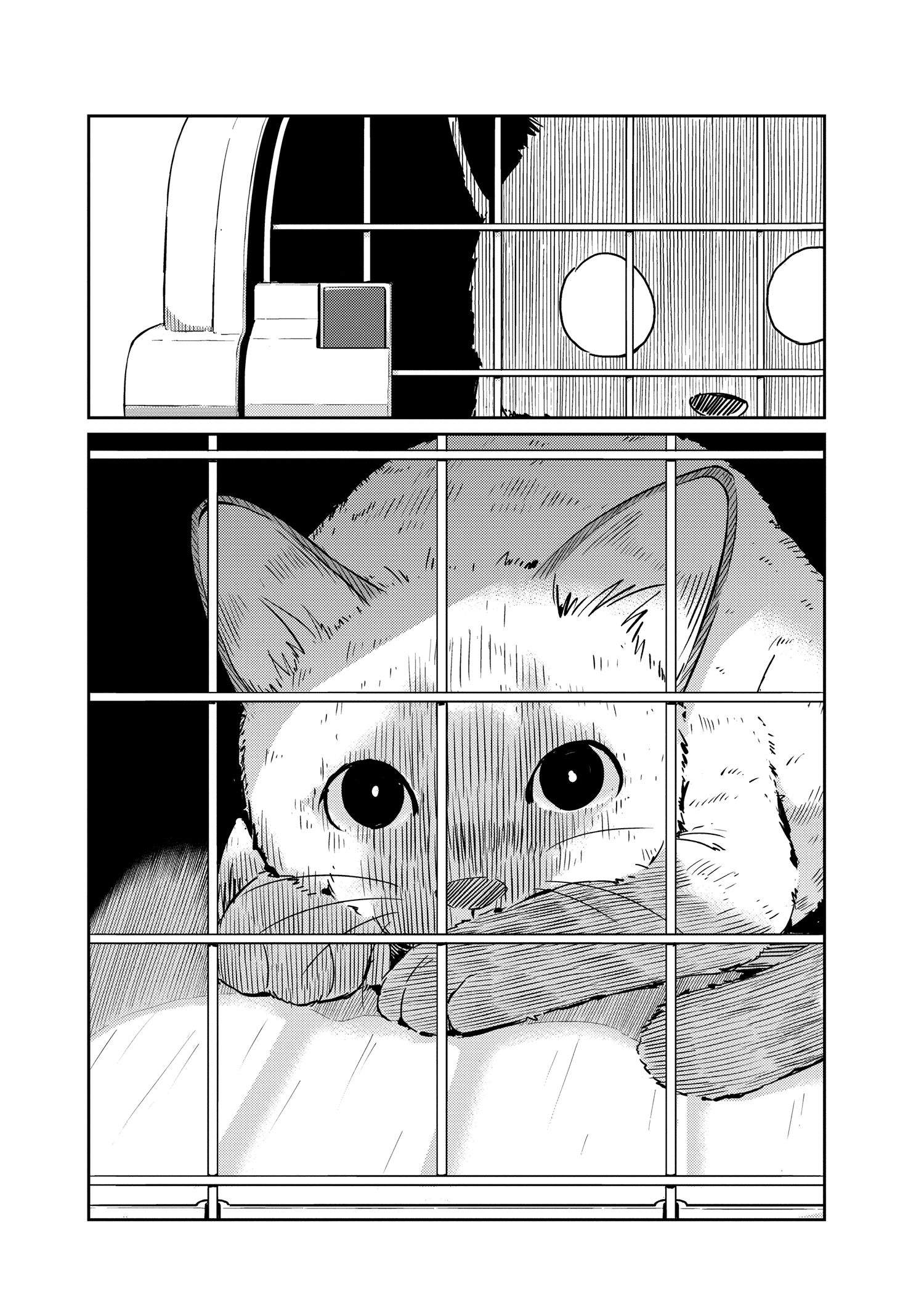36