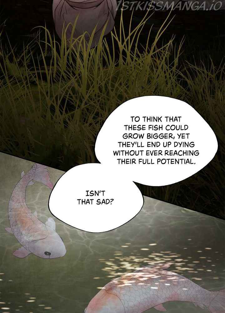 45
